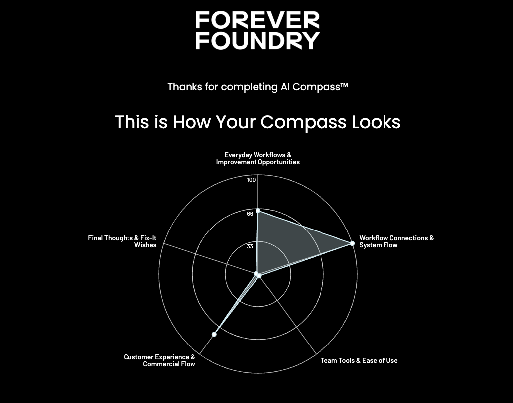 AI Compass results shown as a radar chart across five workflow dimensions
